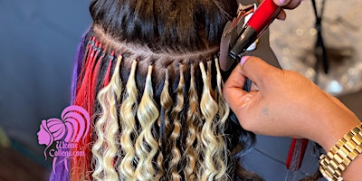 Los Angeles, CA | Hair Extension Class & Micro Link Class