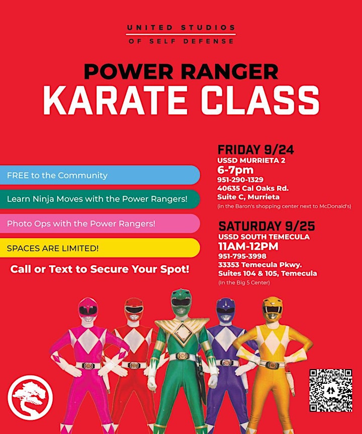 Power Ranger Karate Class image