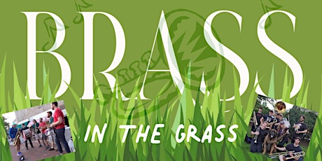 Brass in the Grass primary image