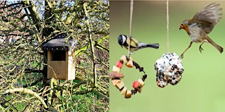 Bird Feeders & Nest Boxes - Conservation Workshop 2021 primary image