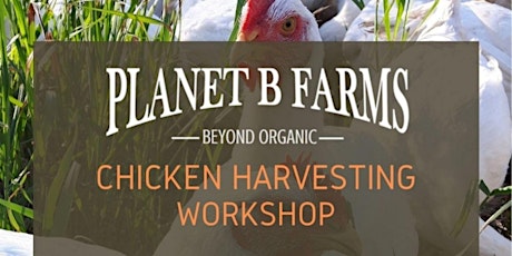 Chicken Harvesting Workshop primary image