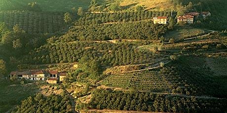 Tasting with Alto Piemonte's Brilliant Young Winemaker Cristiano Garella primary image