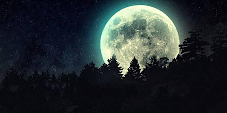 Image principale de Envoi de Reiki à la nouvelle lune