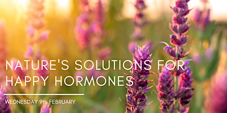 Nature's Solutions to Happy Hormones billets