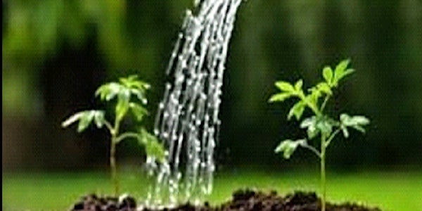 Watering the Garden 2021/22 - Exploring Spiritual Abuse