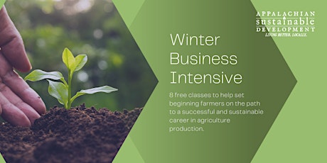 The Field School: Winter Business Intensive