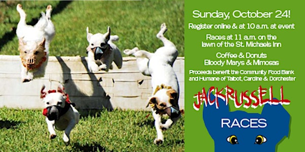 2021 Jack Russell Races in St. Michaels, MD