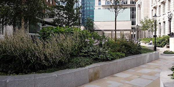 Modern Gardens of the City of London