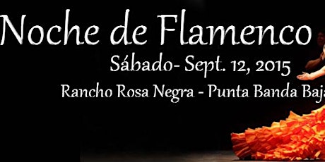 Noche de Flamenco primary image