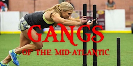 GANGS OF THE MID-ATLANTIC 2015 primary image