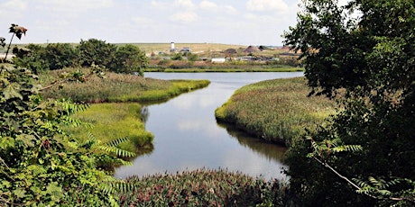 Double VELA: Freshkills Park Tour primary image