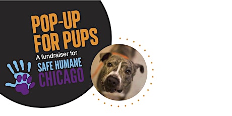 Pop-Up for Pups: a fundraiser for Safe Humane Chicago primary image