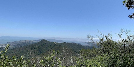 Mt Tam Hike - September 4th primary image