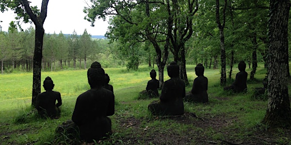 Beyond Awakening: Meditation for Uncertain Times