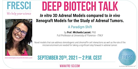 Imagen principal de Adrenal Tumors: In vitro 3D Adrenal Models vs. in vivo Xenograft.