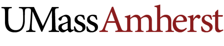 UMass Amherst Women in Engineering and Computing Career Day 2021 image