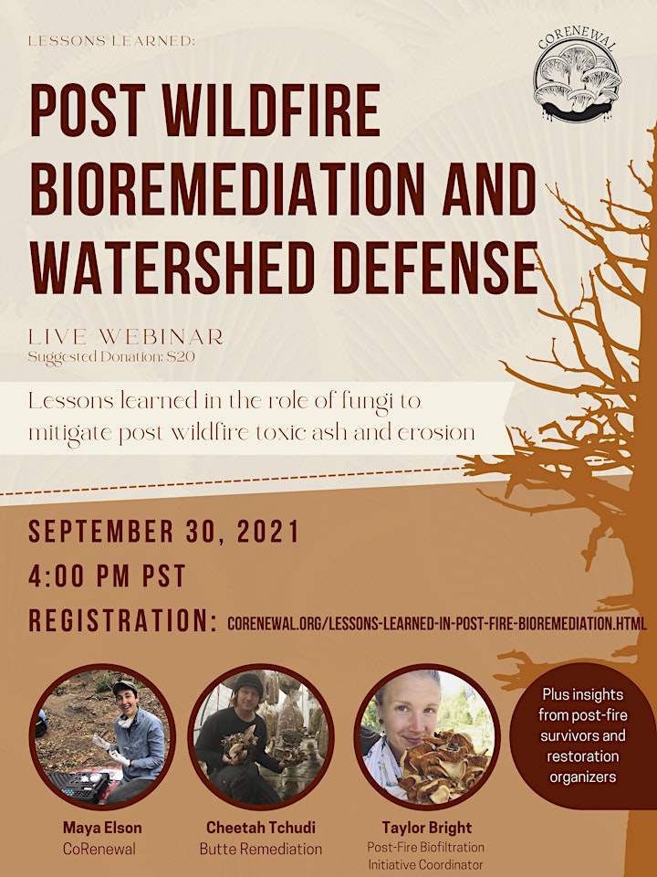 Post Wildfire Bioremediation and Watershed Defense image