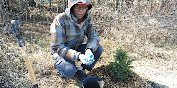 County Court SNAP Fall Native Tree and Shrub Planting