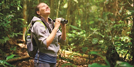 BIG SCRUB RAINFOREST DAY:  Guided Walk & Rainforest Bird Insights primary image