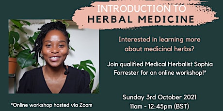Introduction to Herbal Medicine primary image