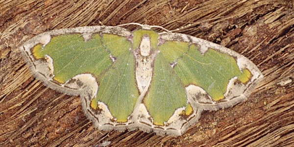 Symposium: Managing Victoria’s Biodiversity under Climate Change - October...