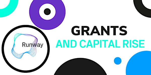 Grants and Capital Raise