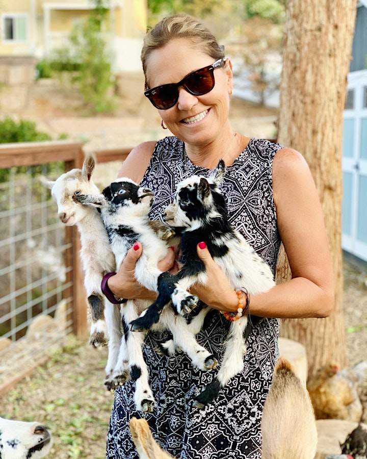 Baby Goat Yoga: Play with Baby Goats, Mini Donkey, Chickens and Pig! image