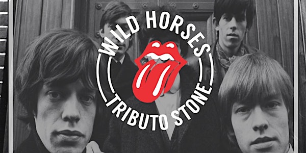 Tributo a Rolling Stones - Wild Horses