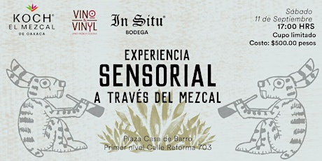 Imagen principal de Experiencia sensorial a través del mezcal