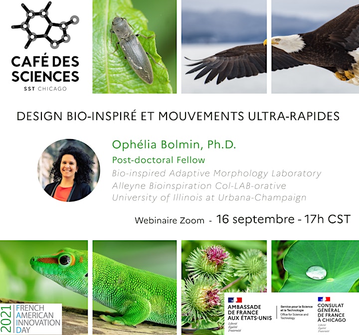Image pour Café des Sciences - Design bio-inspiré et mouvements ultra-rapides 