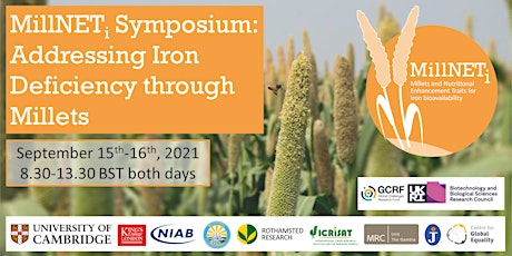 Hauptbild für MillNETi Symposium: Addressing Iron Deficiency through Millets