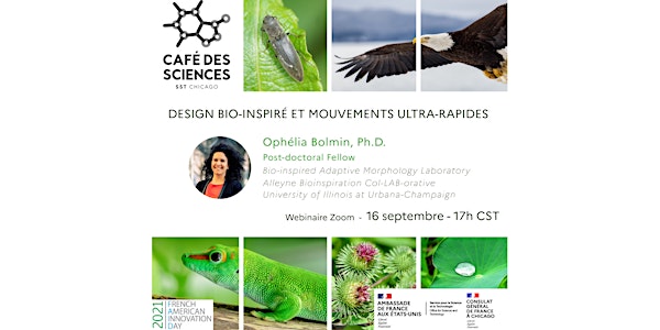Café des Sciences - Design bio-inspiré et mouvements ultra-rapides