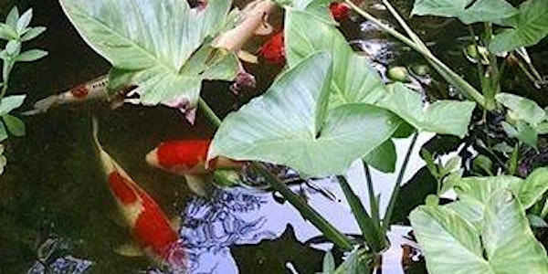 Charleston Pond Tour 2015 for Pet Helpers - 9/12/15 All Day