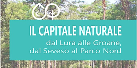 Immagine principale di IL CAPITALE NATURALE: dal Lura alle Groane, dal Seveso al Parco Nord 