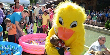 2015 FOX 50 Family Fest & Great American Tobacco Duck Race primary image