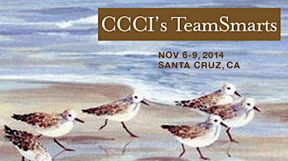 CCCI's TeamSmarts 2015 primary image