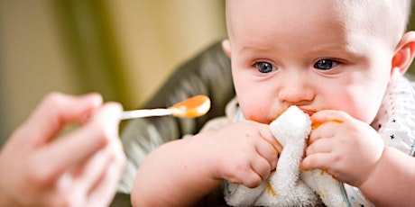 Baby Food & Picky Eaters primary image