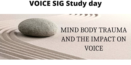 Voice SIG study day primary image