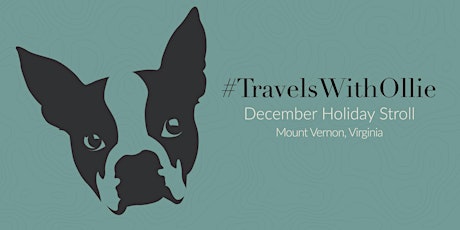 #TravelWithOllie: December Holiday Stroll