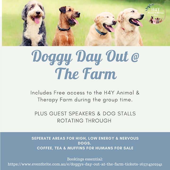 
		Doggy's Day out at the Farm image
