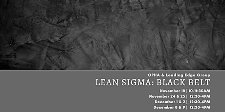 Lean Sigma Black Belt Virtual Training