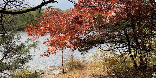 Paddle the St. Croix - Autumn Edition