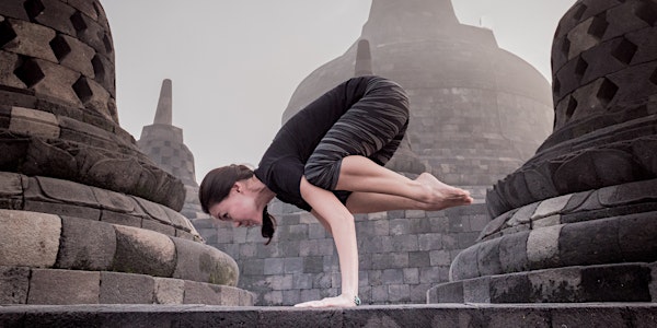 Yoga 101: Taking Flight in Arm Balances