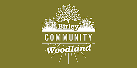 Birley woodland workshop primary image