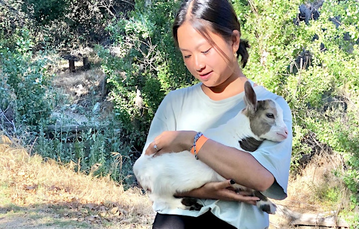 Goat Yoga Sound Bath in Nature - SOLD OUT! image
