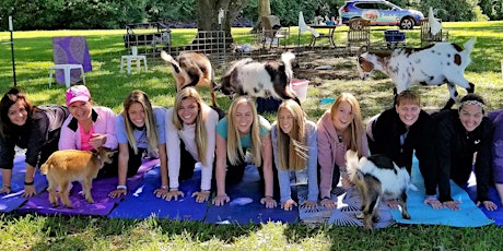 Goat Yoga-rita!!!
