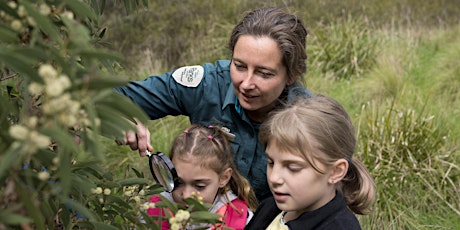 Junior Ranger – The Very Big (easy) Bushwalk – Grampians National Park primary image