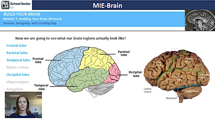 Qld Mental Health Week event - MIE Brain - presentation and discussion image