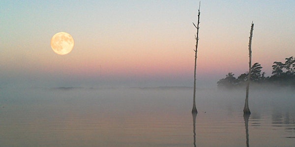 ALIGNING WITH AUTUMN: HEALING ENERGY WORKSHOP ON THE HARVEST MOOON