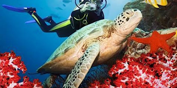 Scuba Dive Turks & Caicos